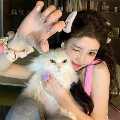 基督山之子 在线观看