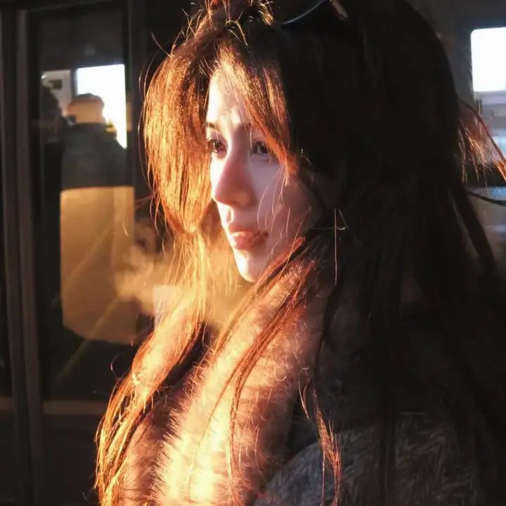 孤独的士兵 在线观看