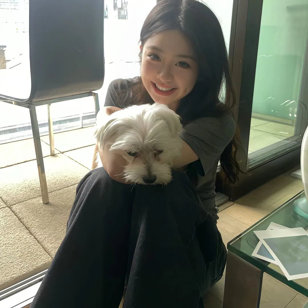 军犬麦斯2：白宫英雄 在线观看